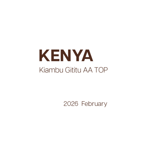 Kenya  Kiambu Gititu AA TOP